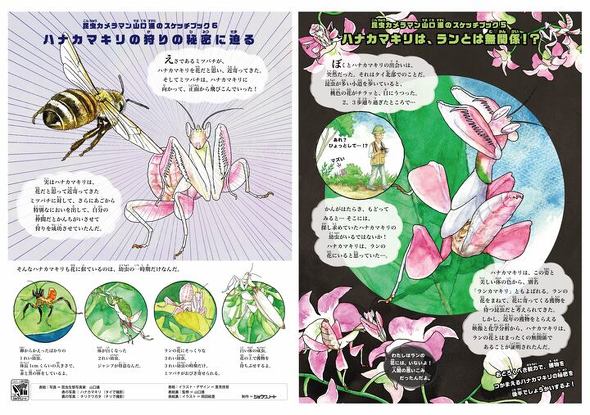 懐かしい 昆虫 が復活 ジャポニカ学習帳販売開始50周年 イラスト柄も販売 Itmedia ビジネスオンライン