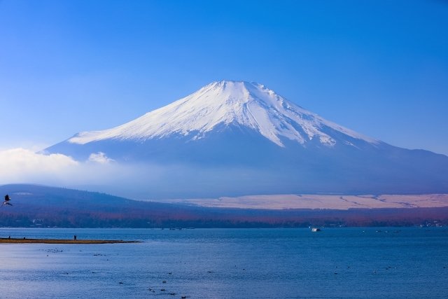 運賃「往復1万円」はアリか？　世界基準で見直す“富士山を登る鉄道”の価値