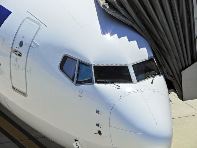 航空会社を選ぶ際に重視すること 3位 価格 2位 安全性 1位は Lccの認知も調査 1 2 ページ Itmedia ビジネスオンライン