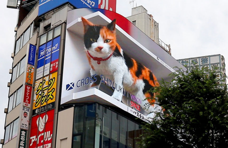 「巨大3D猫」のクロス新宿ビジョン、本放映開始　猫動画は露出を増やす方針