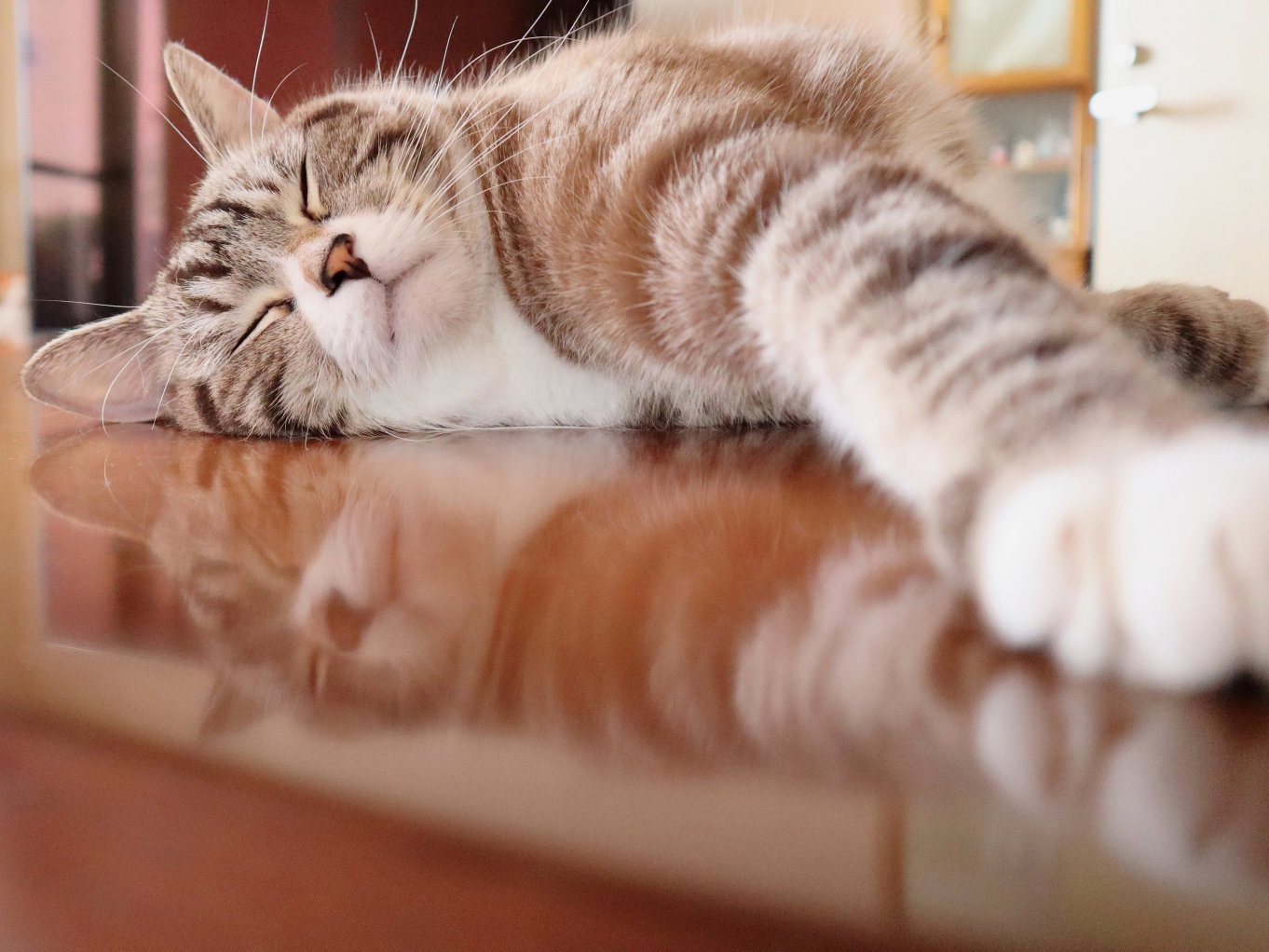 今年の夏休み 漢字一文字で表現すると 家 コロナ禍で過ごし方が激変 近場で過ごす 1 2 ページ Itmedia ビジネスオンライン