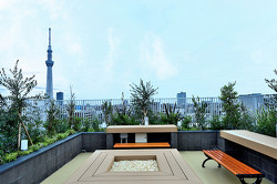 ���C�I���Y�t�H�[�V�A���c��e���X