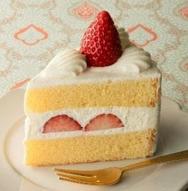 �V���g���[�[