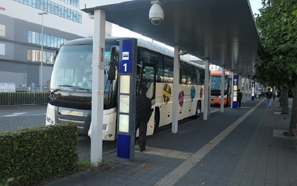 �F�s�{���C�g���[��