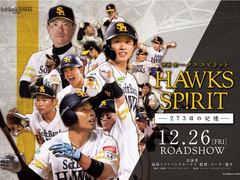 �Ȃ��\�t�g�o���N�z�[�N�X���u�f������v�̂��@���s���������ł͂Ȃ��A���ꂾ���̗��R