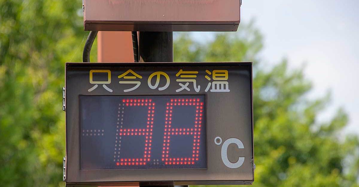 まるで「人間冷蔵庫」？　150万円の”人が入る冷房”が4カ月で300台売れた