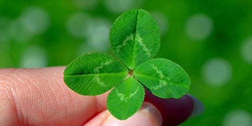 񋟂鉼z_iCÝu4̃bgv́H@Hitachi VantaraRed HatƋ