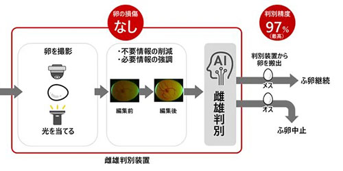 ���̒i�K�łЂ悱�̐��ʂ�I�ʂ���摜�F��AI���J��