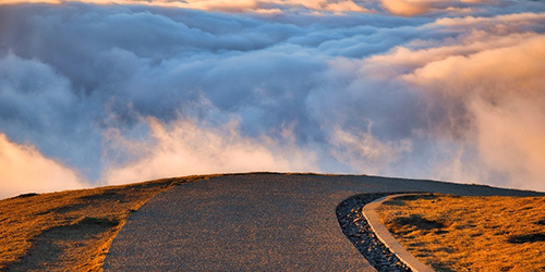 �u�N���E�h�t�@�[�X�g�̕ǁv�̐�ց\�\�N���E�h����95���̃I���b�N�X��s�����ʂ����]�@