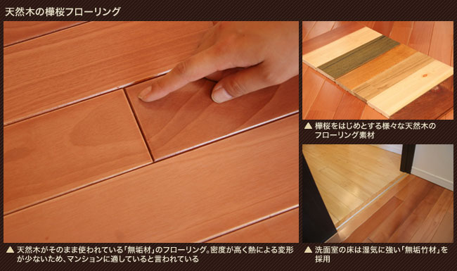 �V�R�؂̊����t���[�����O