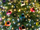 お台場に「K-x」100色を飾り付けたクリスマスツリー