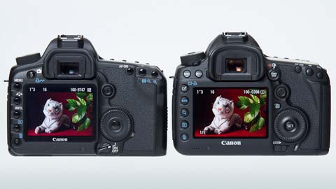 Canon EOS 5D MarkIII