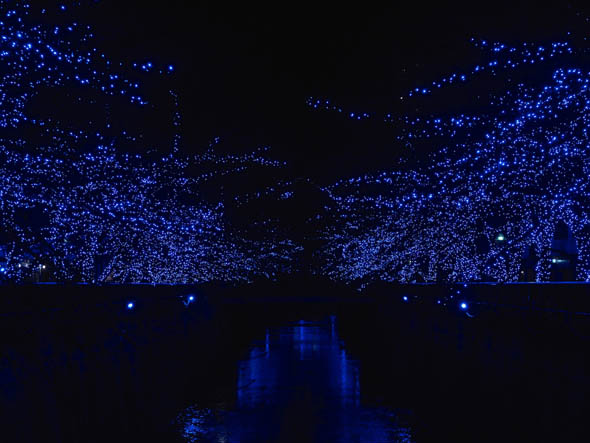 �C���~�l�[�V�����B�e�p