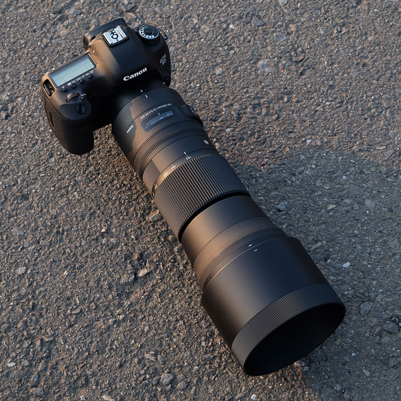 SIGMA 150-600mm 望遠レンズ Canon EFマウント-