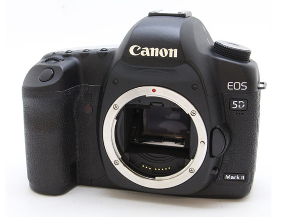 キヤノン勢の上位独占をリコーイメージング「GR」が阻止 1位は絶好調のキヤノン「EOS 5D Mark II」：中古デジタルカメラ販売