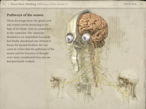 ダ ヴィンチ 解剖学 のスケッチ画がipadアプリに Itmedia Ebook User