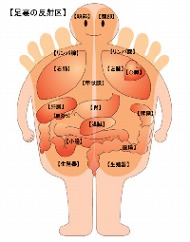 二日酔い対策には足ツボが効く Itmedia Ebook User