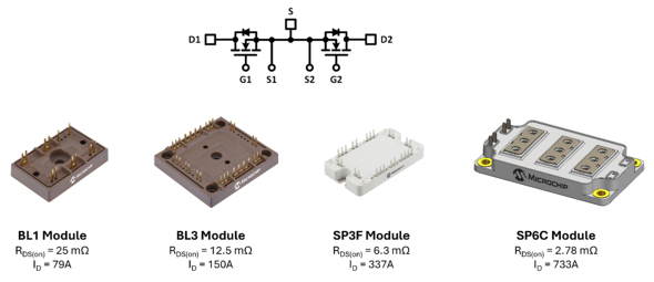 <strong>}2FR\[X\MicrochipАmSiCW[</strong>