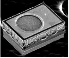 �_����LED�f�q�̊O��