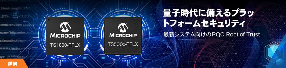 量子時代に備えるプラットフォームセキュリティ