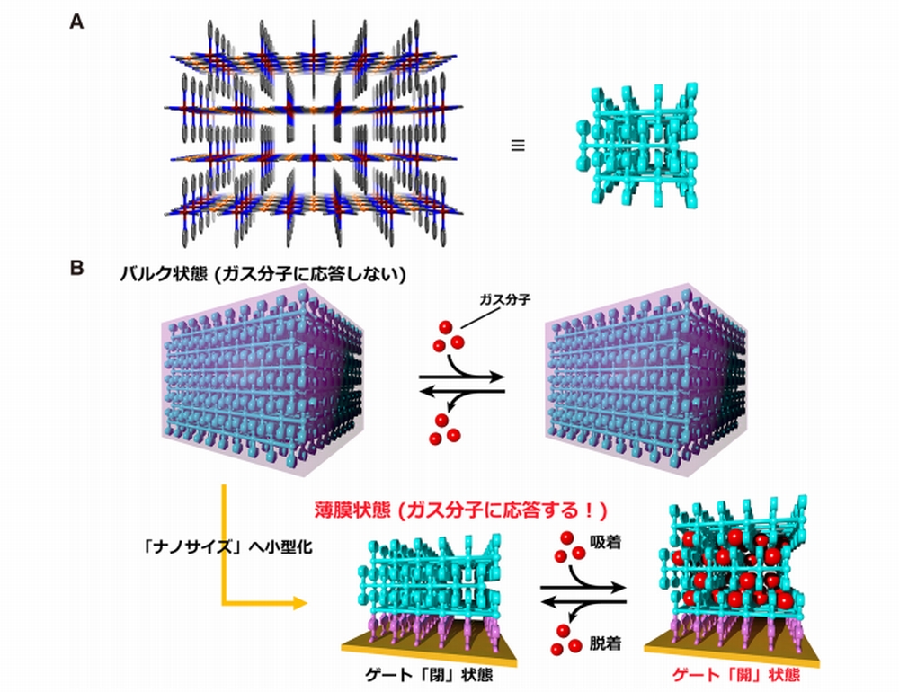 薄膜の多孔性材料で、ゲート開閉機構を発見：ナノサイズのMOF、層間