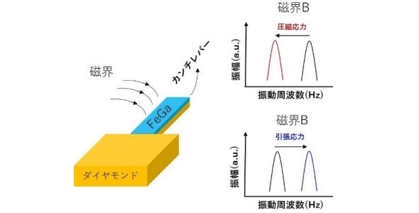 NIMS、高温ダイヤモンドMEMS磁気センサーを開発