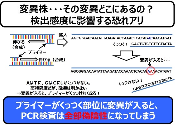 変異 パターン コロナ ゲノム疫学からみたCOVID