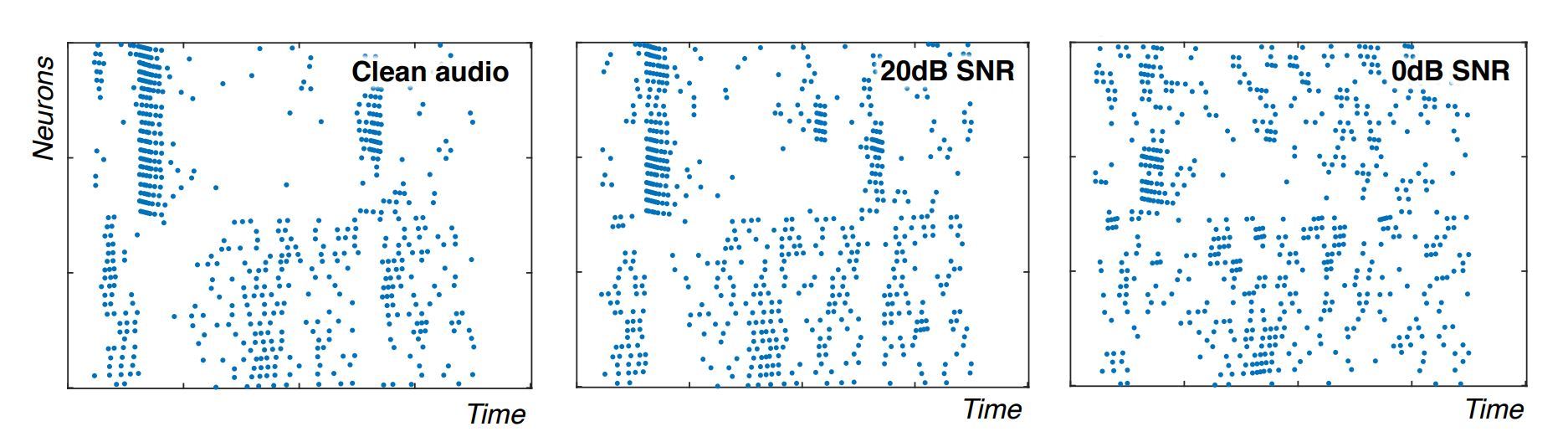 Snnを加速するニューロモーフィックaiチップを開発 オランダの新興企業 1 2 ページ Ee Times Japan