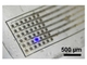 光遺伝学用マイクロLEDアレイ極薄フィルムを開発