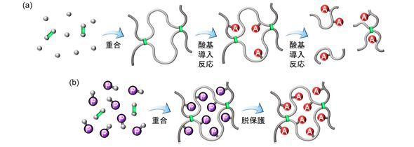 電解質膜の合成工程。上図（a）は従来型、下図（b）は今回の方法 出所：名古屋大学