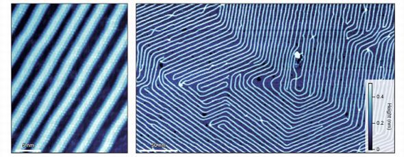 左はグラファイト基板表面に整列した原子パターンのSTM像、右は広い範囲のSTM像 出所：京都大学
