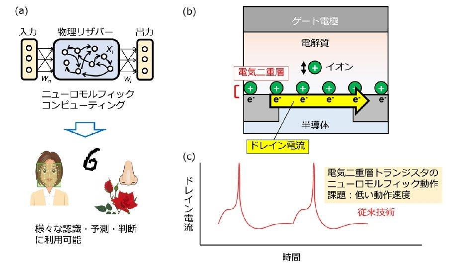 神経系の動作をマネ、高速動作の電気二重層トランジスタ：AI機能搭載
