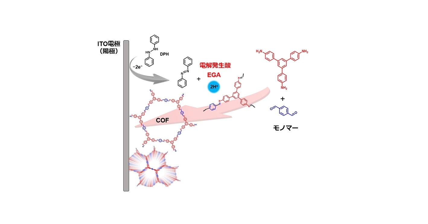 共有結合性有機構造体の合成法と薄膜化手法を開発：電極上にCOF膜を