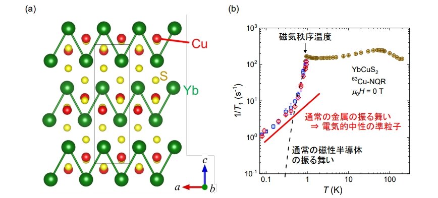 YbCuS2̌\1/T1̉xˑmNbNŊgn oFsw