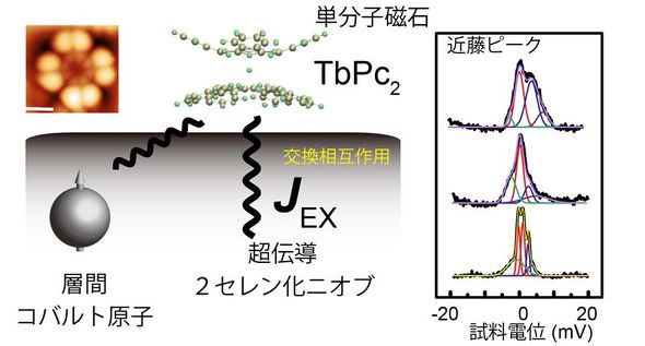 TbPc2分子に関する相互作用の図と制御された近藤ピーク
