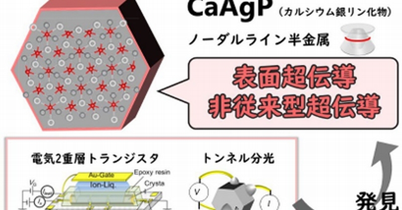低次元導体 有機導体の多彩な物理と密度派 改訂版 鹿児島誠一著 書籍