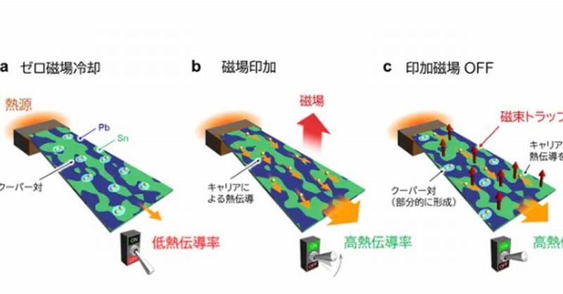 都立大ら、不揮発性磁気熱スイッチング材料を発見：2つの性質を持つSn