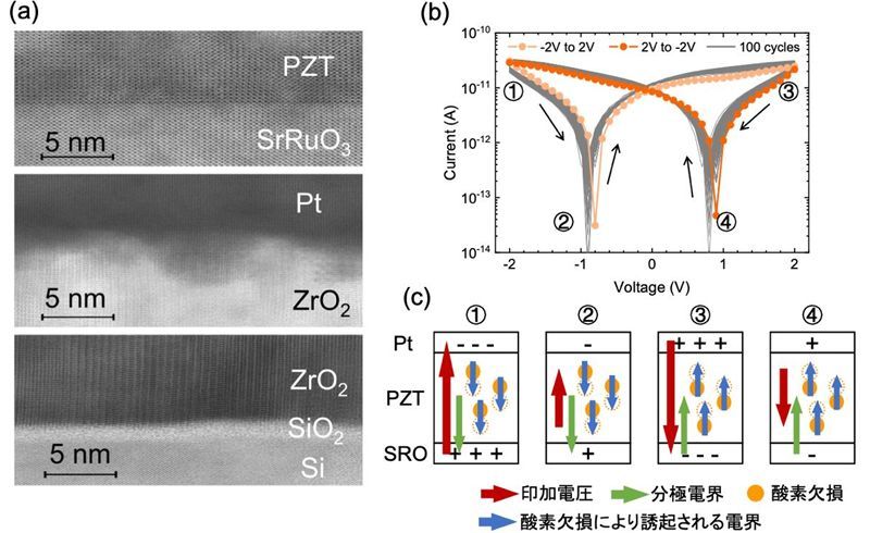 SrRuO3/Pt/ZrO2/SiɌ`PZT̒fʓߓdqBE͓dCRXCb`OBE͎_fׂ̕ψʂɂ蔭dEdсAPZT̕ɂɂdEmNbNŊgn oFw