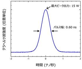 ewcgpXo͂̑茋