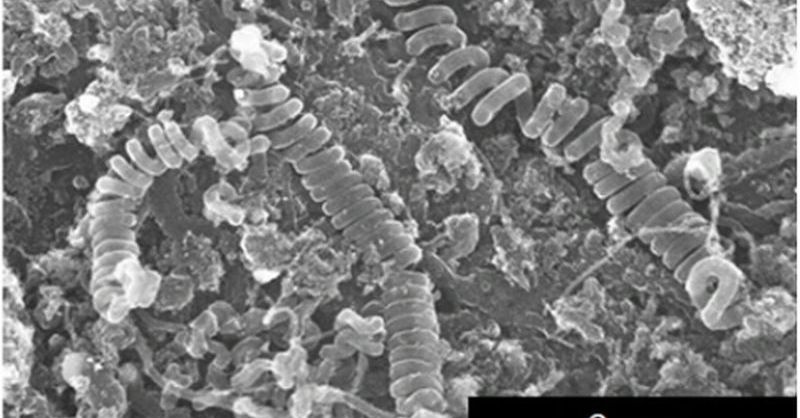 600℃でCOからカーボンブラックを大量に合成：CO2排出量を従来の1
