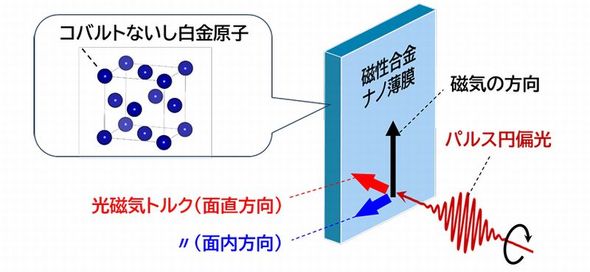 コバルト白金ナノ薄膜に円偏光を面直方向に入射すると磁気の方向を変える光磁気トルクが発生した［クリックで拡大］ 出所：東北大学