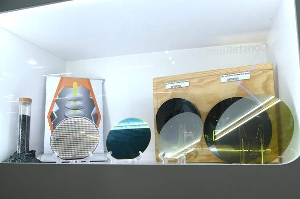 SiCEGn[̌ł镲͂܂銮SȐ^̐Y̐W