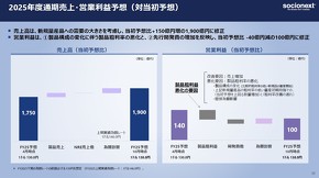 2025年度通期予想の詳細