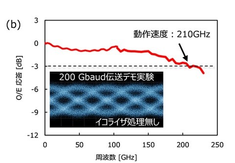 �����g�����Ɠ`�������̃f�����X�g���[�V����