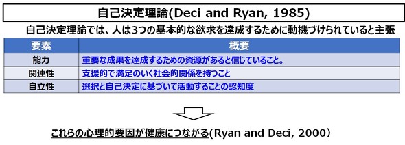 �u���Ȍ��藝�_�iSelf-Determination Theory�j�v�̃��f��
