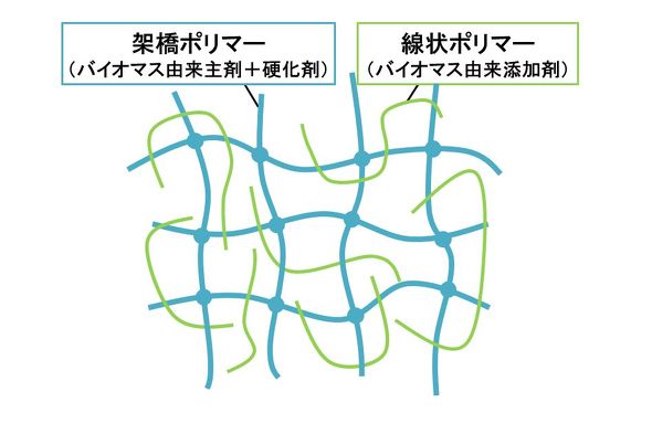 SEMI-IPN�\���C���[�W