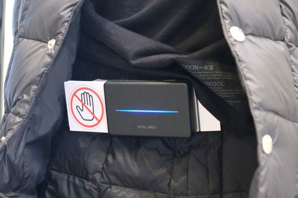 VITAL BELT