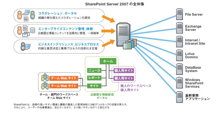 SharePoint Server 2007̑S̑