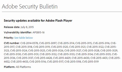 Adobe Flashの脆弱性を修正 既に攻撃ツールが流通 Itmedia エンタープライズ