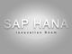 SAP HANAに脆弱性情報、世界中の企業に影響か